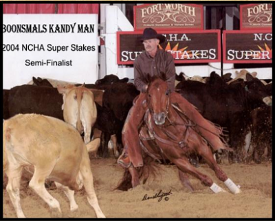Boonsmals Kandyman
description2000 Sorrel Stallion
AQHA #3917095
PERFORMANCE RECORD: NCHA earner of $27,396.00. 2004 Wyoming CHA Open Derby Reserve Champion; 3rd CHA Nebraska Open Derby; semi-finalist in the NCHA Open Super Stakes; NCHA Western Nationals $10,000 Novice Non-Pro.
By PEPTOBOONSMAL (1992). $180,487: 1995 NCHA Open Futurity Champion; 1996 Bonanza 4-Year-Old Open Derby Champion; 4th, 1996 NCHA Open Super Stakes; 1996 Gold Coast Open Derby Champion; finalist in the 1996 NCHA Open Derby and Augusta 4-Year-Old Open Futurity. The 2009 Equi-Stat #3 Leading Cutting Sire, and an NRCHA and NRHA Leading Sire, PEPTOBOONSMAL has been a top 5 cutting sire every year since his first full crop showed in 2001. He is also the Equi-Stat #8 All-Time Leading Cutting Sire and an NRCHA Top 20 All-Time Leading Sire.
1st Dam:
HICKORYS HANDY KANDY, by Doc’s Hickory. $98,311: split 5th, NCHA Super Stakes Non-Pro Classic; finalist in the NCHA Open Derby; Chisholm Trail Non-Pro Derby Champion; Southern 5/6-Year-Old Amateur Champion; Southern 4-Year-Old Open Reserve Champion; 3rd, AQHYA World Championship Cutting twice; 3rd, Southern 5/6-Year-Old Non-Pro twice; 3rd, CHA Nebraska 5/6-Year-Old Open; finalist in the Memphis Open and Non-Pro Futurities, Memphis Non-Pro Classic, Bonanza 4-Year-Old Non-Pro, Gold Coast 5/6-Year-Old Non-Pro, Augusta Open Classic; Chevy Nationals East $20,000 Non-Pro and Senior Youth finalist. Dam of 7 money earners.
2nd Dam:
HANDY GOLD ZAN, producer of 4 money earners.
3rd Dam:
HANDY HIRED GIRL, 41 AQHA points, Performance ROM; NCHA money earner and producer.